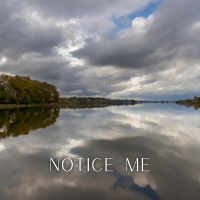 Notice Me - Full Cover cover